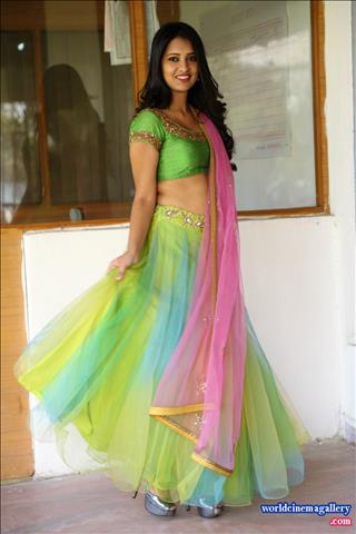 Nikitha Bisht Launches pochampally ikat art mela nizampet