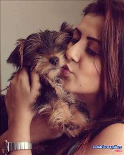 Nikki Galrani Kalakalapu2  latest stills - World Cinema Gallery