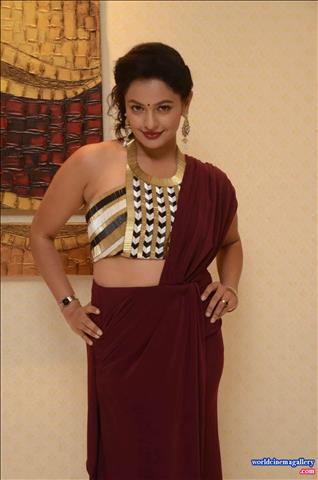 Pooja kumar 2017 CHRISTMAS CAKE MIXING CEREMONY IN HOTEL DASPALLA