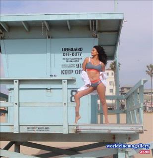 Pooja Kumar latest hot bikini stills