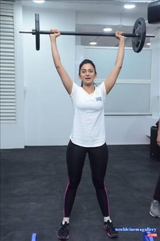 Rakul Preet Singh hot saree stills from Theeran Adhigaram Ondru - World Cinema Gallery