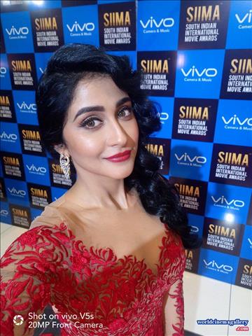 Regina Cassandra at SIIMA Awards 2017