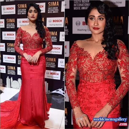 Regina Cassandra at SIIMA Awards 2017