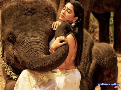 Regina Cassandra hot collections 