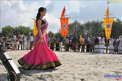 Regina Cassandra hot collections 