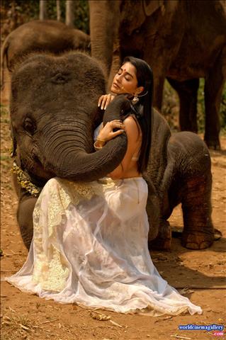 Regina Cassandra hot stills from Nakshatram Movie - World Cinema Gallery