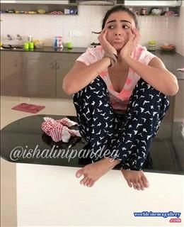 Shalini Pandey latest stills from 100 percent kadhaal