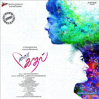 Shalini Pandey latest stills from 100 percent kadhaal