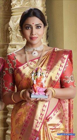 Shriya Saran hot in saree stills