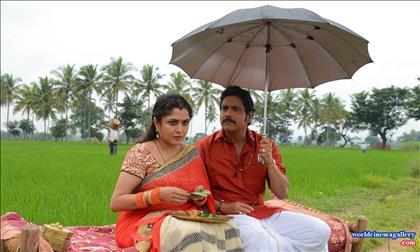 Sokkali Mainar Hot stills