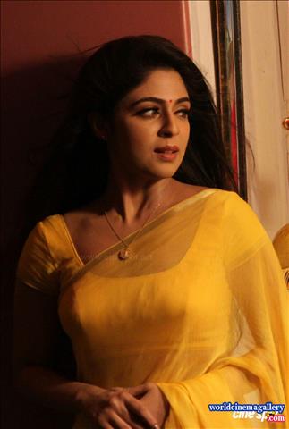 Suntv Nandini Serial Malavika Wales Hot Saree stills