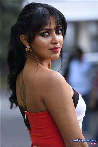 Amala paul at Thiruttu Payale 2 press meet