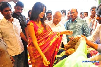 Amala Paul Saree Stills at Inaugurates Kalanikethan Showroom
