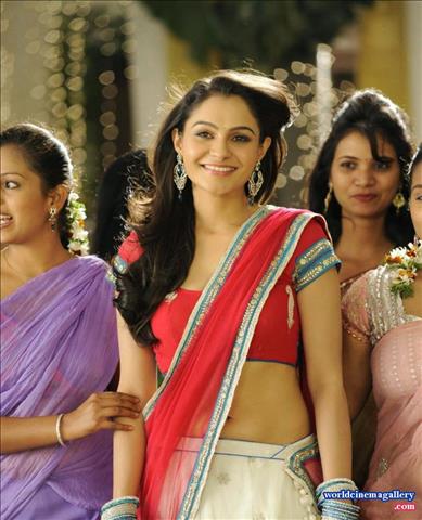 andrea jeremiah hot saree photos in tadakha movie