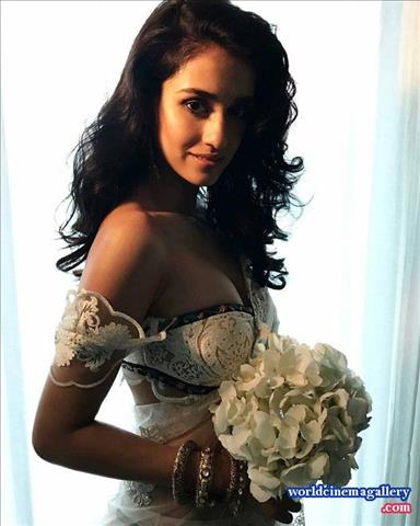 Disha Patani Latest Sexy PhotoShoot