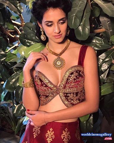 Disha Patani Latest Sexy PhotoShoot