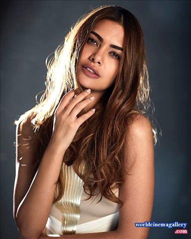 Esha Gupta Hot Bikini Stills