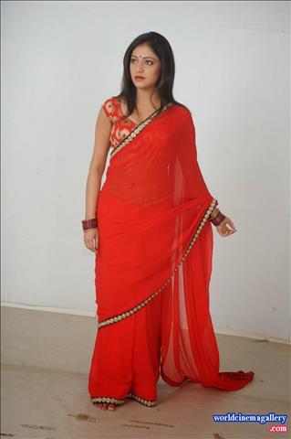 Hari priya Hot  Spicy Red Saree Stills - World Cinema Gallery