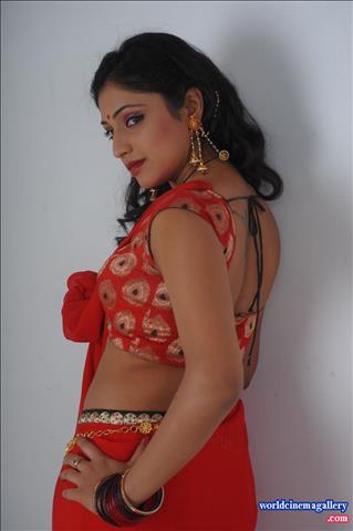 Hari priya Hot  Spicy Red Saree Stills - World Cinema Gallery