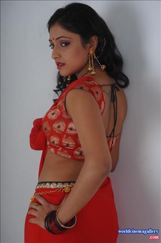 Hari priya Hot  Spicy Red Saree Stills - World Cinema Gallery