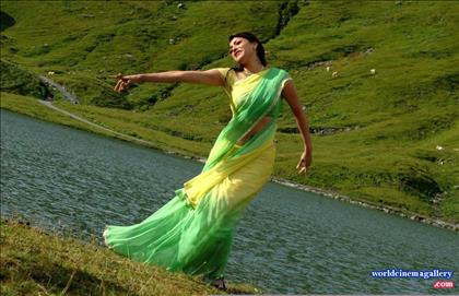 Kajal Agarwal Green Saree Stills from Thuppakki