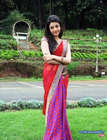 Kajal Agarwal Hot Saree Stills in Mr Perfect movie
