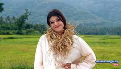 Kajal Agarwal Hot Saree Stills in Mr Perfect movie