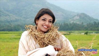 Kajal Agarwal Hot Saree Stills in Mr Perfect movie