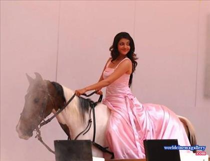 Kajal Agarwal Hot Stills