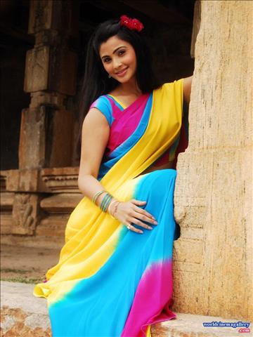 Kannada Actress Ragini Dwivedi In Saree