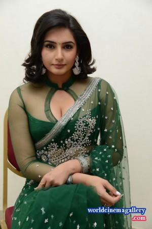 Kannada Actress Ragini Dwivedi In Saree