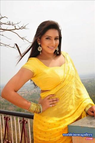 Kannada Actress Ragini Dwivedi In Saree