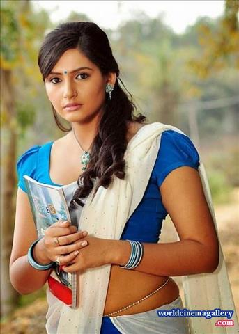 Kannada Actress Ragini Dwivedi In Saree