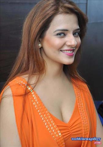 Maryada Ramanna Heroine Saloni Aswani Hot Stills 