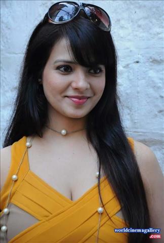 Maryada Ramanna Heroine Saloni Aswani Hot Stills 