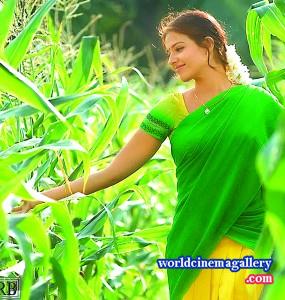 Maryada Ramanna Heroine Saloni Aswani Hot Stills 