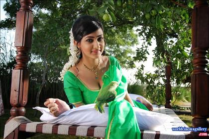 Neelam Upadhyaya Latest Hot Stills in Green Saree