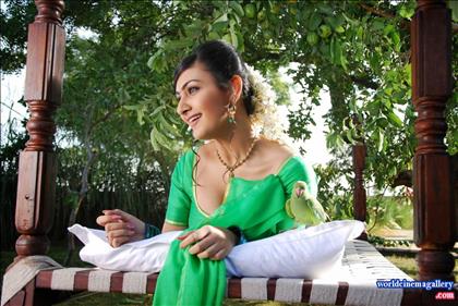Neelam Upadhyaya Latest Hot Stills in Green Saree