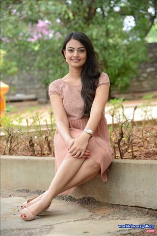 Nikitha Narayan at Audio Song Launch