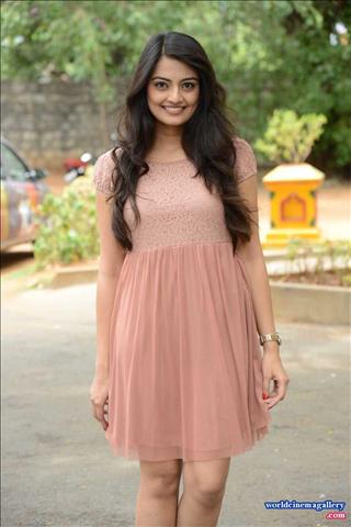 Nikitha Narayan at Audio Song Launch