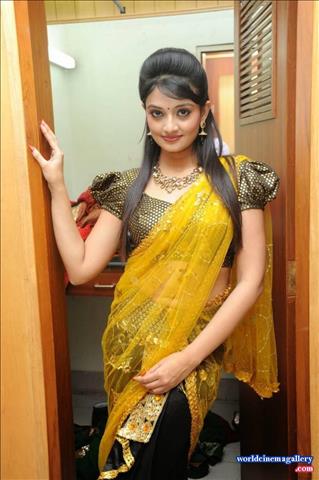Nikitha Narayan Sexy Saree Stills