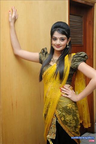 Nikitha Narayan Sexy Saree Stills
