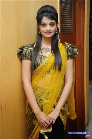 Nikitha Narayan Sexy Saree Stills