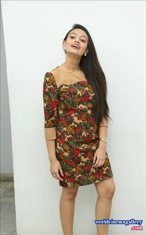 Nikitha Narayan Sexy Saree Stills