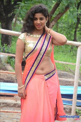 Pavani Hot Rose Saree Stills