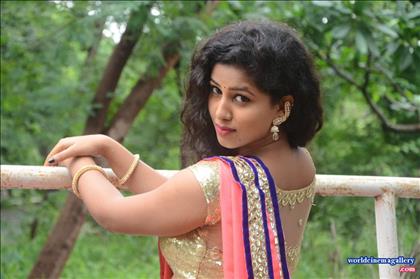 Pavani Hot Rose Saree Stills