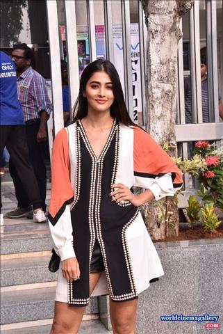 Pooja Hegde latest stills