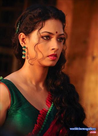 Pooja Umashankar Hot Saree Stills from Vidiyum Mun Movie
