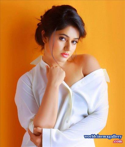 Poonam Bajwa Hot Saree stills at Aranmani 2