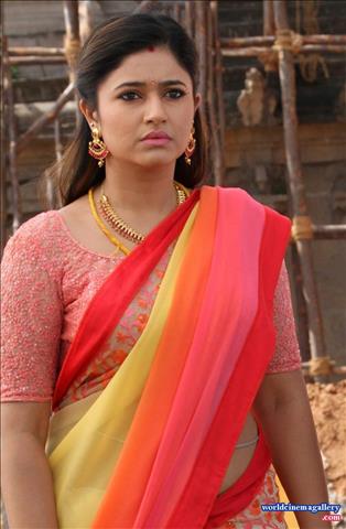 Poonam Bajwa Hot Saree stills at Aranmani 2